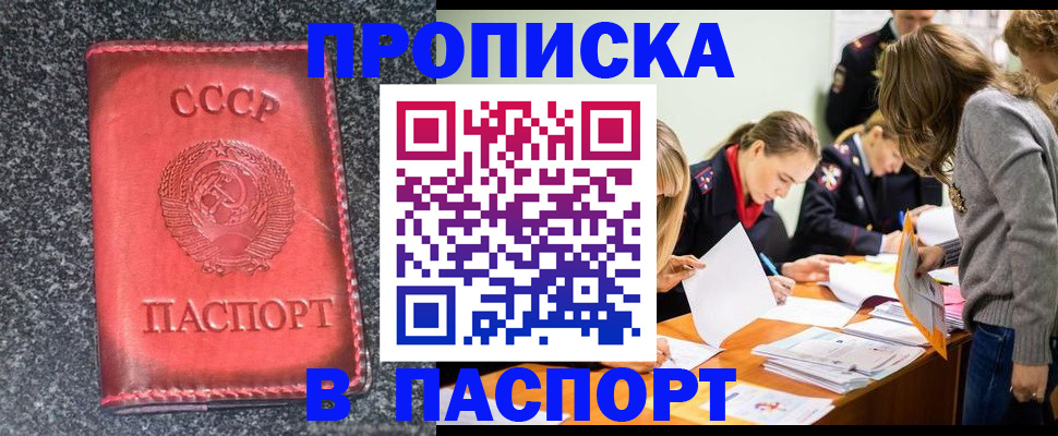 прописка для школы в Щёлково